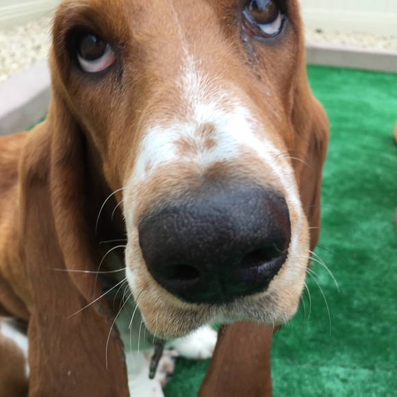 Meet your Posher, Kylee - Picture 1 of 1